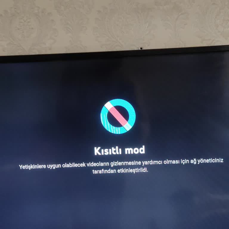 Yeni abone olduğum internet hizmetinde kısıtlı erişim sorunu yaşıyorum