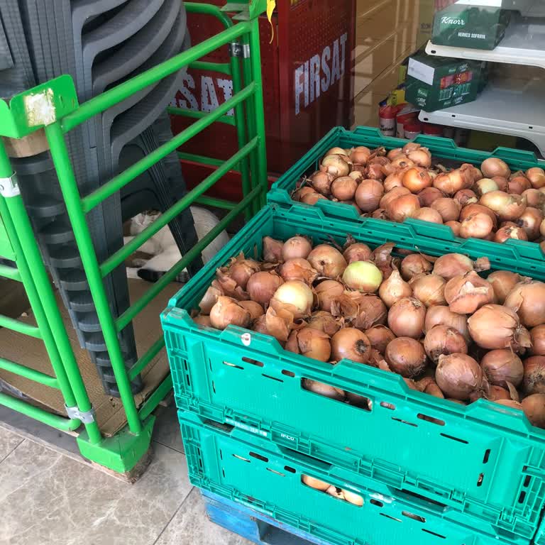 Şok Marketler Kedi İdrarlı Yiyecekler