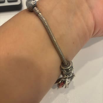 Gümüş Diye Aldığımız Ürünler Sarardı, Müşteri Hizmetleri Cevap Vermedi