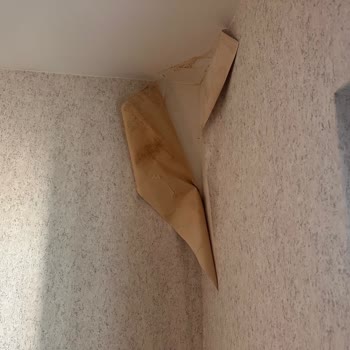 Bakyapı Prestij Park'ta Sürekli Rutubet ve Su Kaçağı Problemi