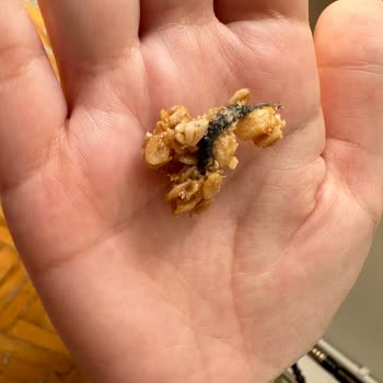 Found Hairy Object in Kellogg's Granola – Requesting Immediate Explanation