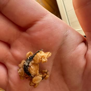 Found Hairy Object in Kellogg's Granola – Requesting Immediate Explanation