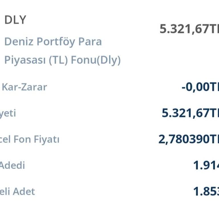 İzinsiz Fon Alımı ve Çözüm Eksikliği
