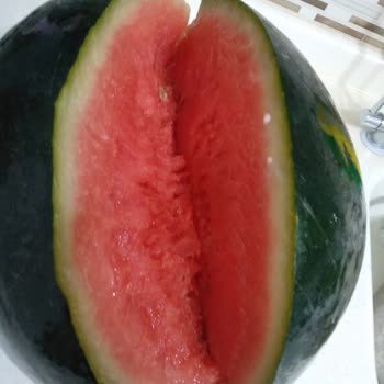 Migros Sanal Alışverişte Bozuk Ürün ve İlgisiz Müşteri Hizmetleri
