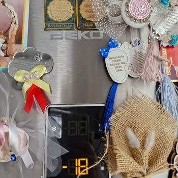 Beko Buzdolabı E4 Hatası ve Çözüm Bulunamaması