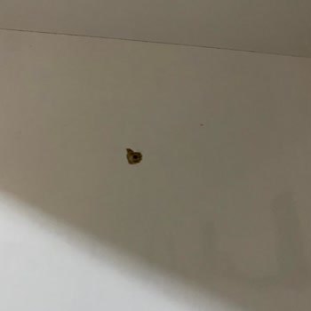 Deforme Portmanto ve İade Sorunu