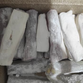 Cezerye ve Lokumda Karınca Sorunu