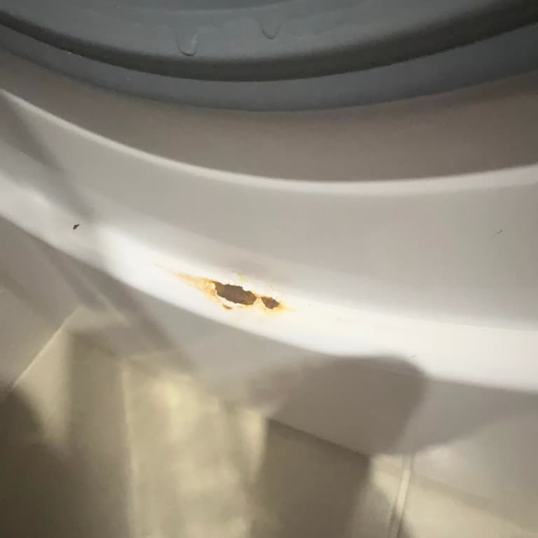 Vestel Çamaşır Makinesi: Sürekli Değişim ve Garanti Sorunu