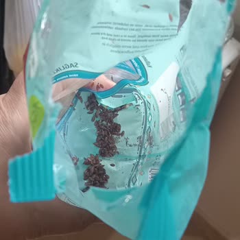 Tat Bakliyat'tan Aldığım Keten Tohumu Kurtlandı