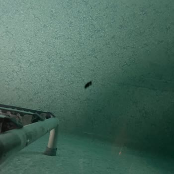 İznik Taş Mahal Evleri'nde Hayal Kırıklığı