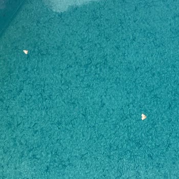 İznik Taş Mahal Evleri'nde Hayal Kırıklığı