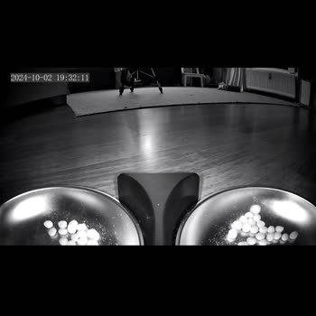 Wero Yanıltıcı Kamera Açılı Mama Makinesi!