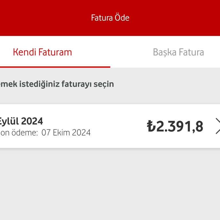 KKTC Seyahati: Yurt Dışı Ücretlendirme Sorunu