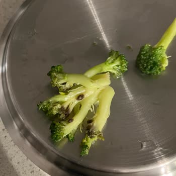 Dondurulmuş Brokoli Üzerindeki Çamur Şoku