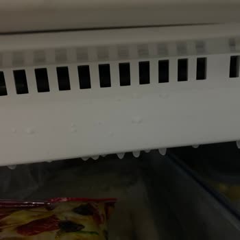 Bosch KGN76VWF0N Model Buzdolabı Arızaları Ve Müşteri Hizmetleri Sorunu