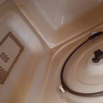 Vestel Mikrodalga Fırın Sararma ve Koku Sorunu