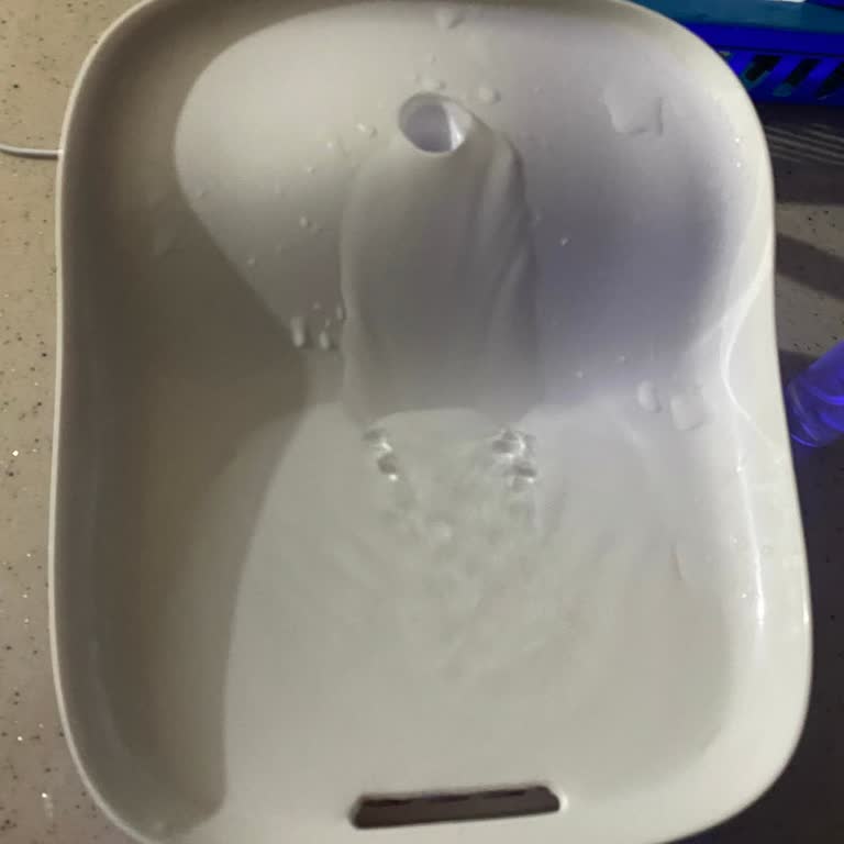 Kiwipets Su Pınarı Su Basıncı Sorunu Kedilerimi Üzüyor