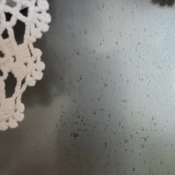 Arçelik Buzdolabı Lekelenme Sorunu ve Servis Yetersizliği