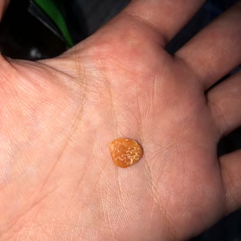 Haribo Jelibon İçinde Taş Şeklinde Cisim