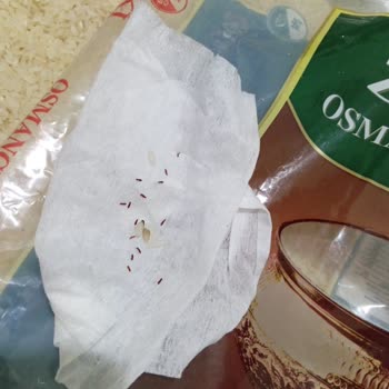 Böcekli Pirinç Paketi: Güven Sarsan Deneyim