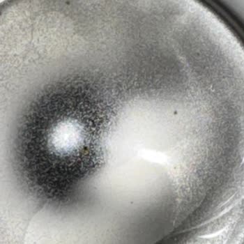 Quechua Termos Paslandı: Bebek Sağlığı Tehlikede