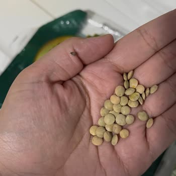 Yeşil Mercimekte Böcek Şoku: Yöremce Markasına Güven Sarsıldı