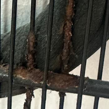 Kronik Paslanma Sorunu ve Yetersiz Servis Çözümü