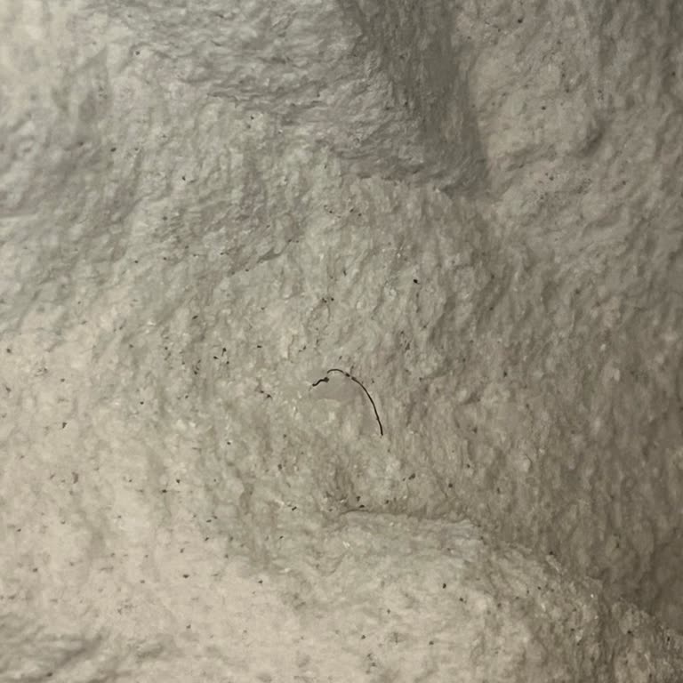 Plastik İçeren Ürünler Sağlığımızı Tehdit Ediyor