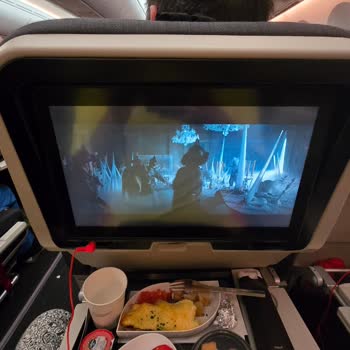 Türk Hava Yolları ile Kâbus Gibi Bir Uçuş Deneyimi