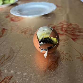 Migros'tan Aldığımız Yumurtalar Hayal Kırıklığı Yarattı