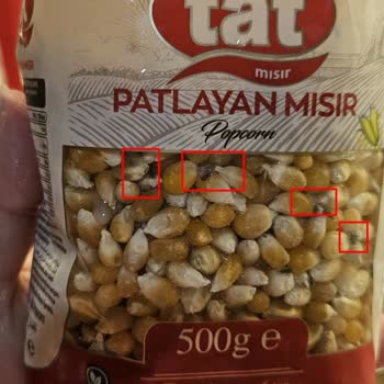 Migros'tan Aldığım Mısır Böceklerle Dolu Çıktı