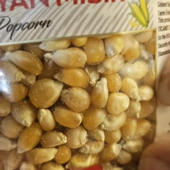 Migros'tan Aldığım Mısır Böceklerle Dolu Çıktı