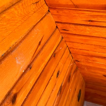 Bungalovda Hayal Kırıklığı: Temizlik ve Hizmet Sorunları