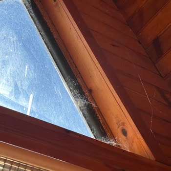 Bungalovda Hayal Kırıklığı: Temizlik ve Hizmet Sorunları