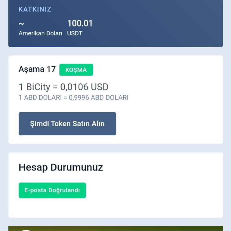 Bicity Token Mağduriyeti: Erişim Sorunu ve Çözüm Beklentisi