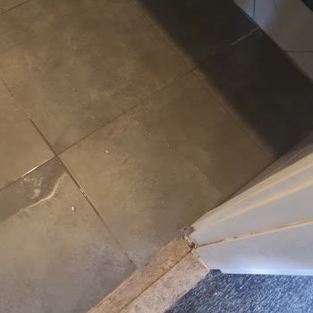 Otel Odasında Karınca İstilası ve Saygısız Hizmet