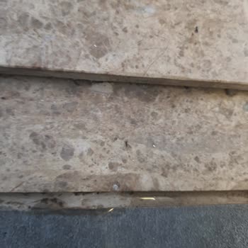 Otel Odasında Karınca İstilası ve Saygısız Hizmet