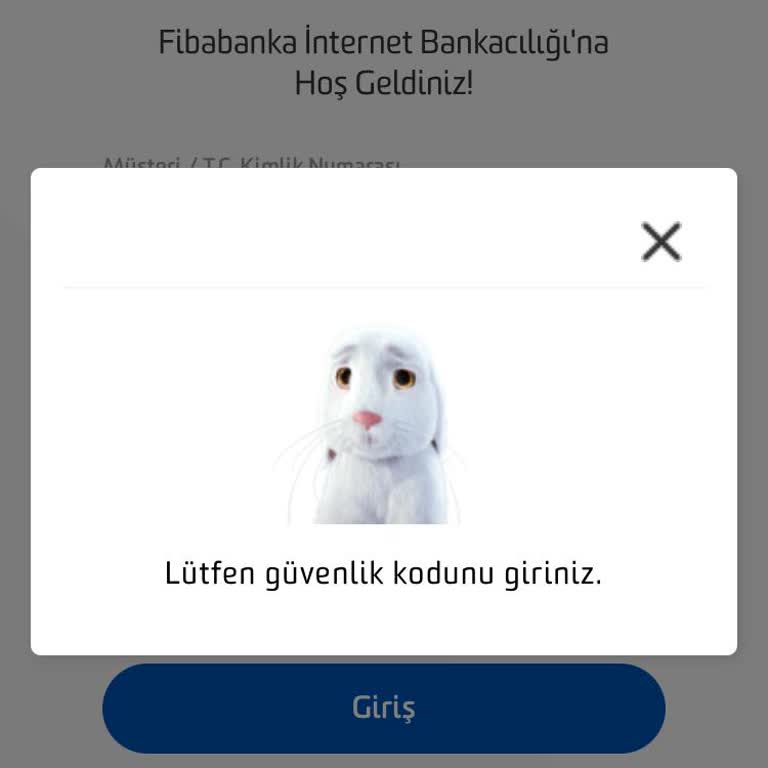 Fibabankası Mobil Uygulama Giriş Sorunu