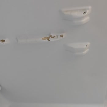 Buzdolabı Sorununa Çözüm Arayışı