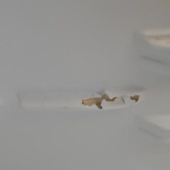 Buzdolabı Sorununa Çözüm Arayışı