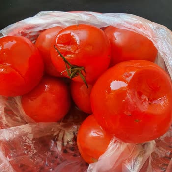 Çürük Domates ve Eksik Ürün Sorunu