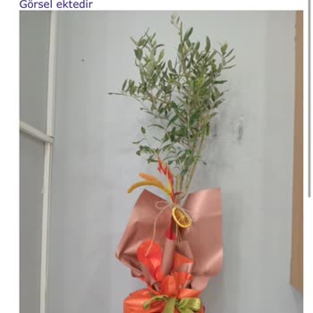 Yanlış Ürün Teslimatı ve İletişim Sorunları