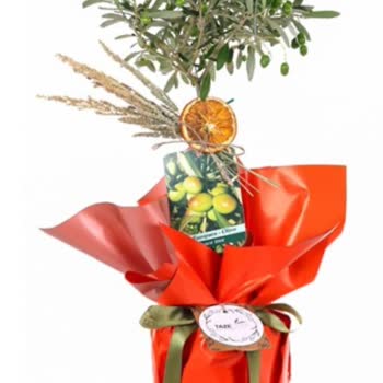 Yanlış Ürün Teslimatı ve İletişim Sorunları