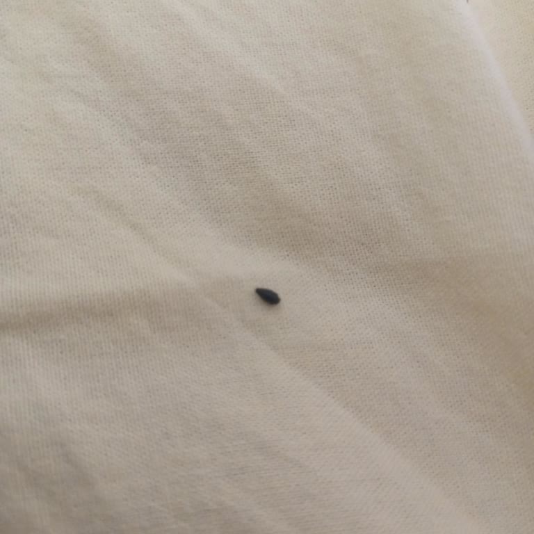 Samsung S6 Lite tablet kalemi 1 günde kırıldı