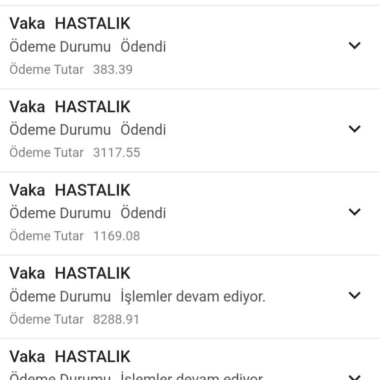 Rapor Ücreti Mağduriyeti