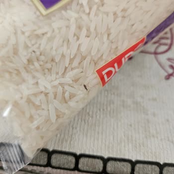Duru Pirinç Paketinde Böcek Şoku: Gıda Güvenliği Endişesi