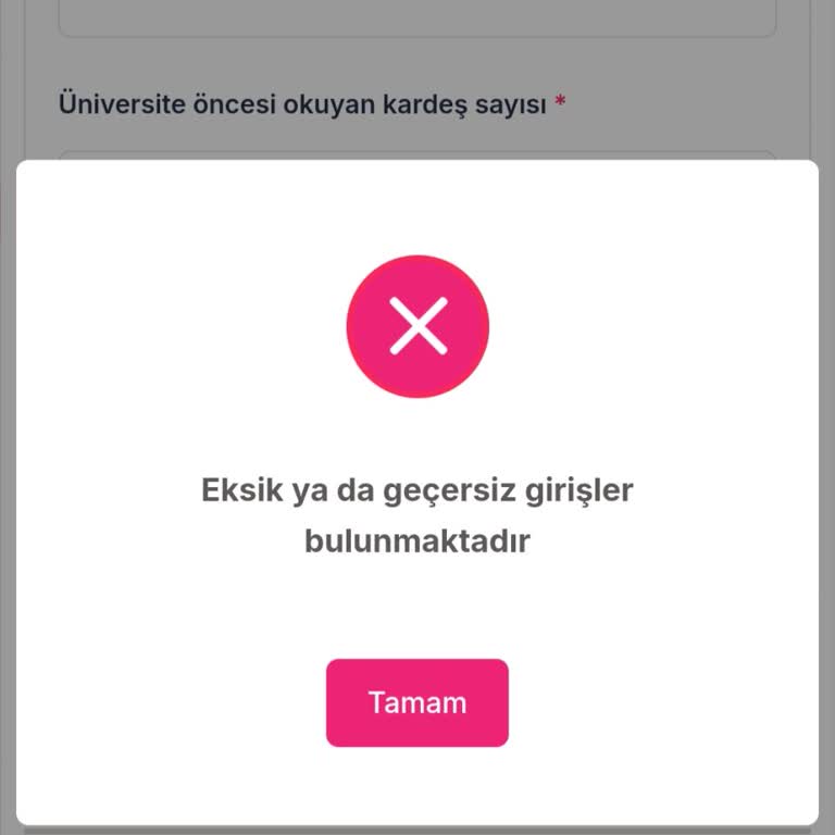 Burs Başvurusunda Aile Bilgileri Hatası