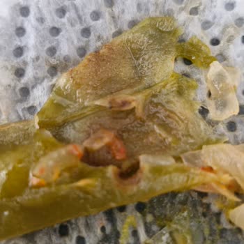 Superfresh Ürünlerinde Kurt Şoku ve Yetersiz Telafi