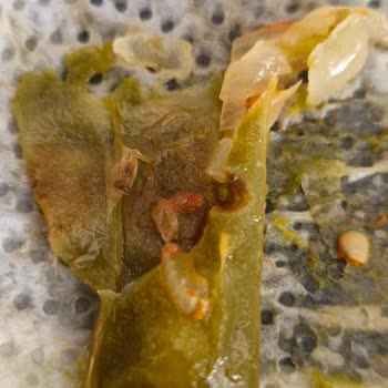 Superfresh Ürünlerinde Kurt Şoku ve Yetersiz Telafi