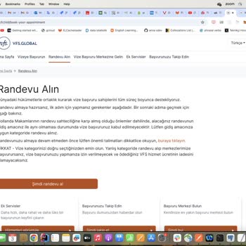 Sahte Vize Sitesi Tehlikesi